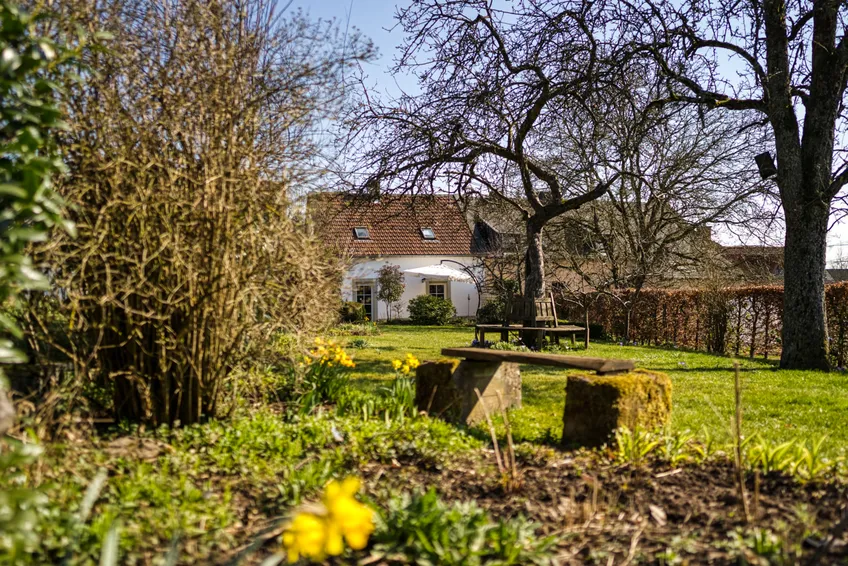 Blick vom Garten aufs Haus