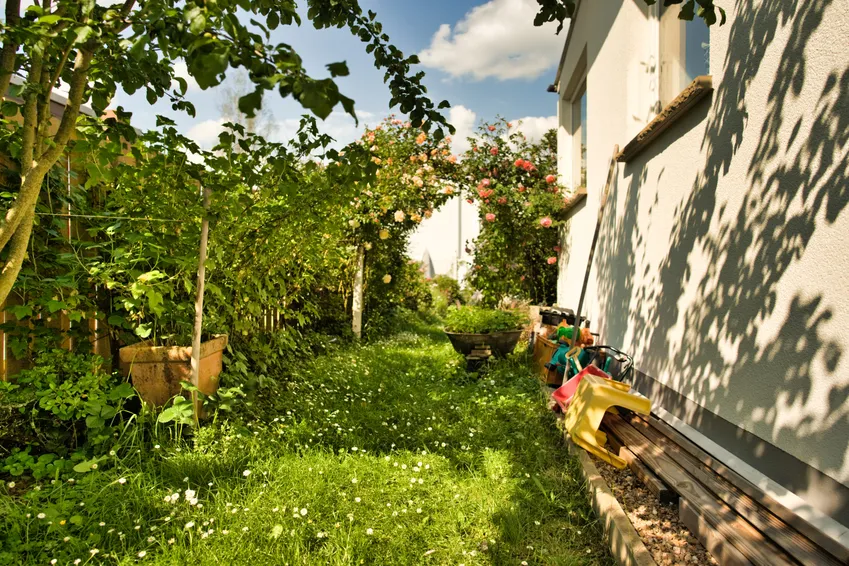 Obst- und Beerensträucher