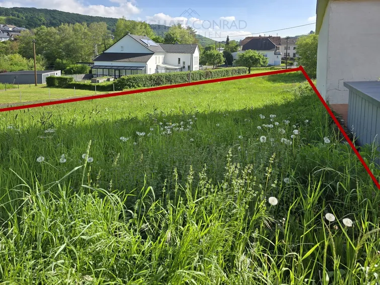 Schmelz-Limbach
