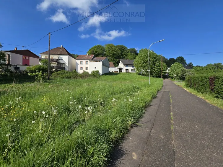 Schmelz-Limbach 
