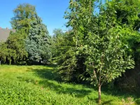06.jpg