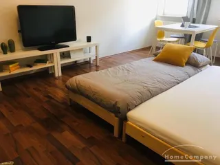 1988324 HomeCompany Dresden Möbliert/Furnished Studio Apartment in Dresden-Pieschen max. 2 Personen
