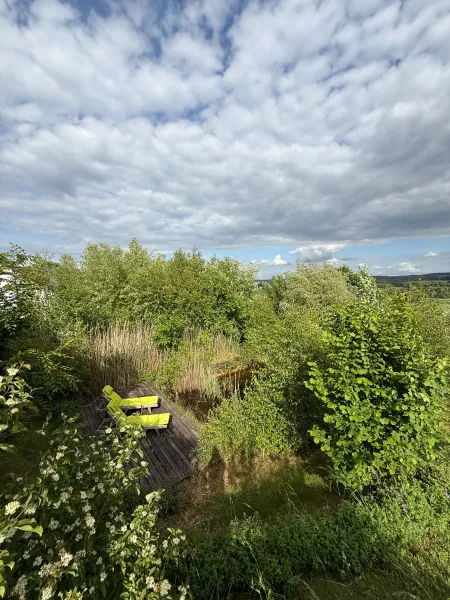 Sonnendeck am Teich