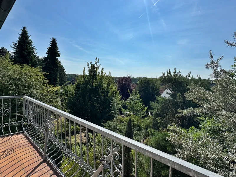 Blick in den Garten
