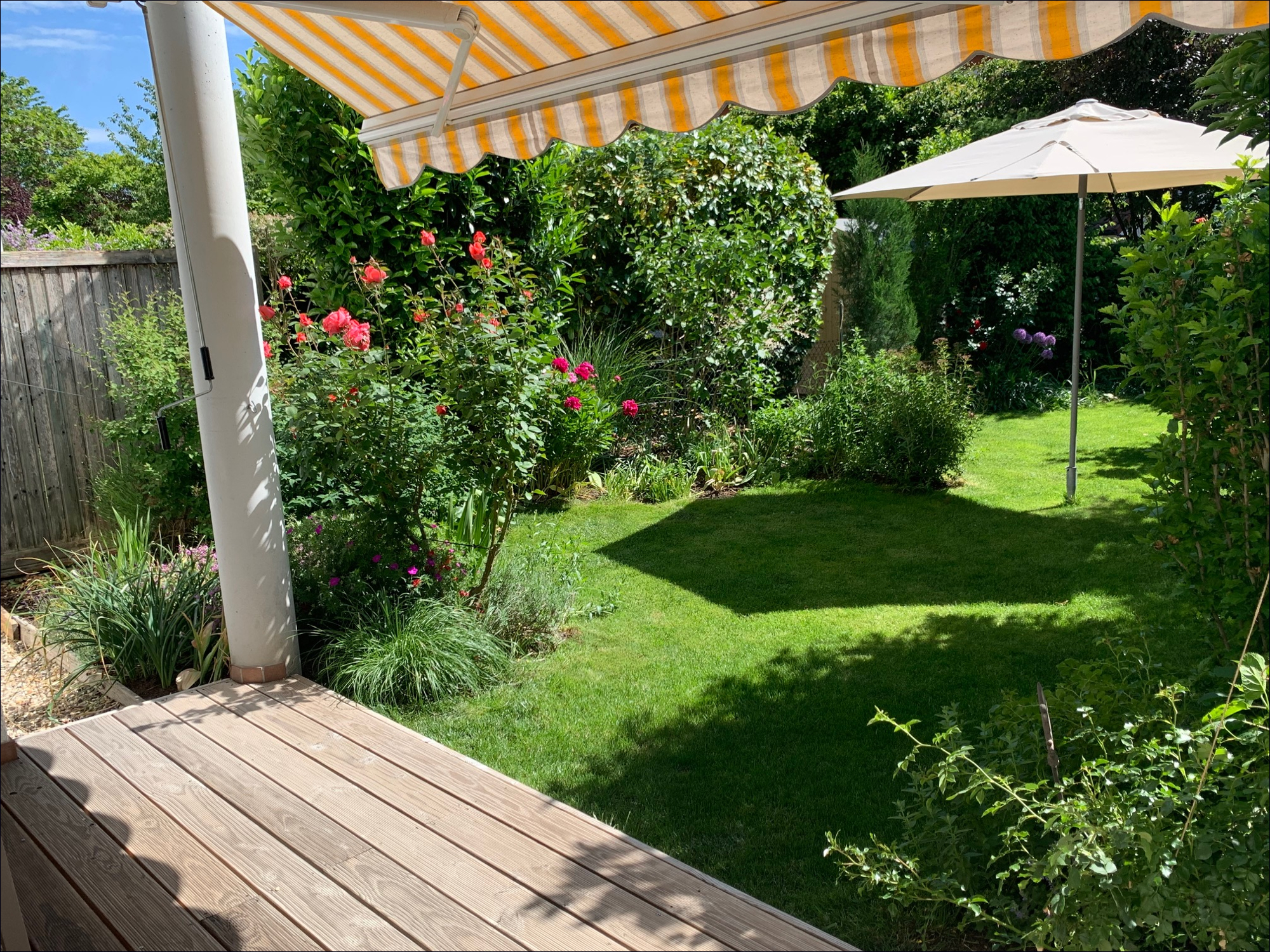 Blick in den Garten - Ein Traum