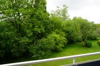 Blick ins Grüne