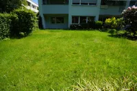 Gartenansicht mit Blick auf die Wohnung