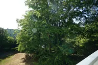 Ausblick Loggia Ansicht 2
