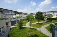 Dachgarten