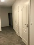 klassische neue Türen