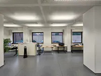 viele Fenster