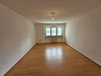 1 Zi-Wohnung