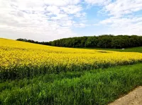 Eppstein-Bremthal