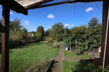 Blick in den Garten