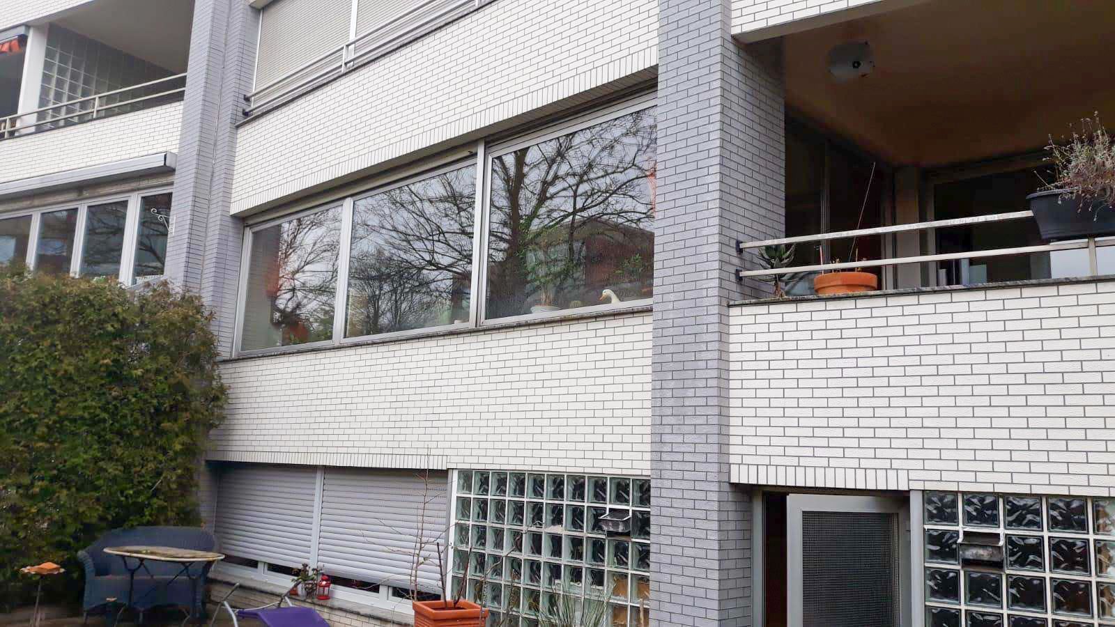 Blick UG