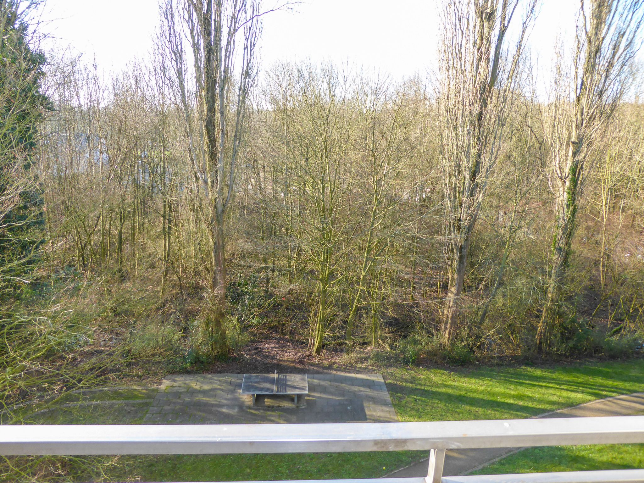 Ausblick