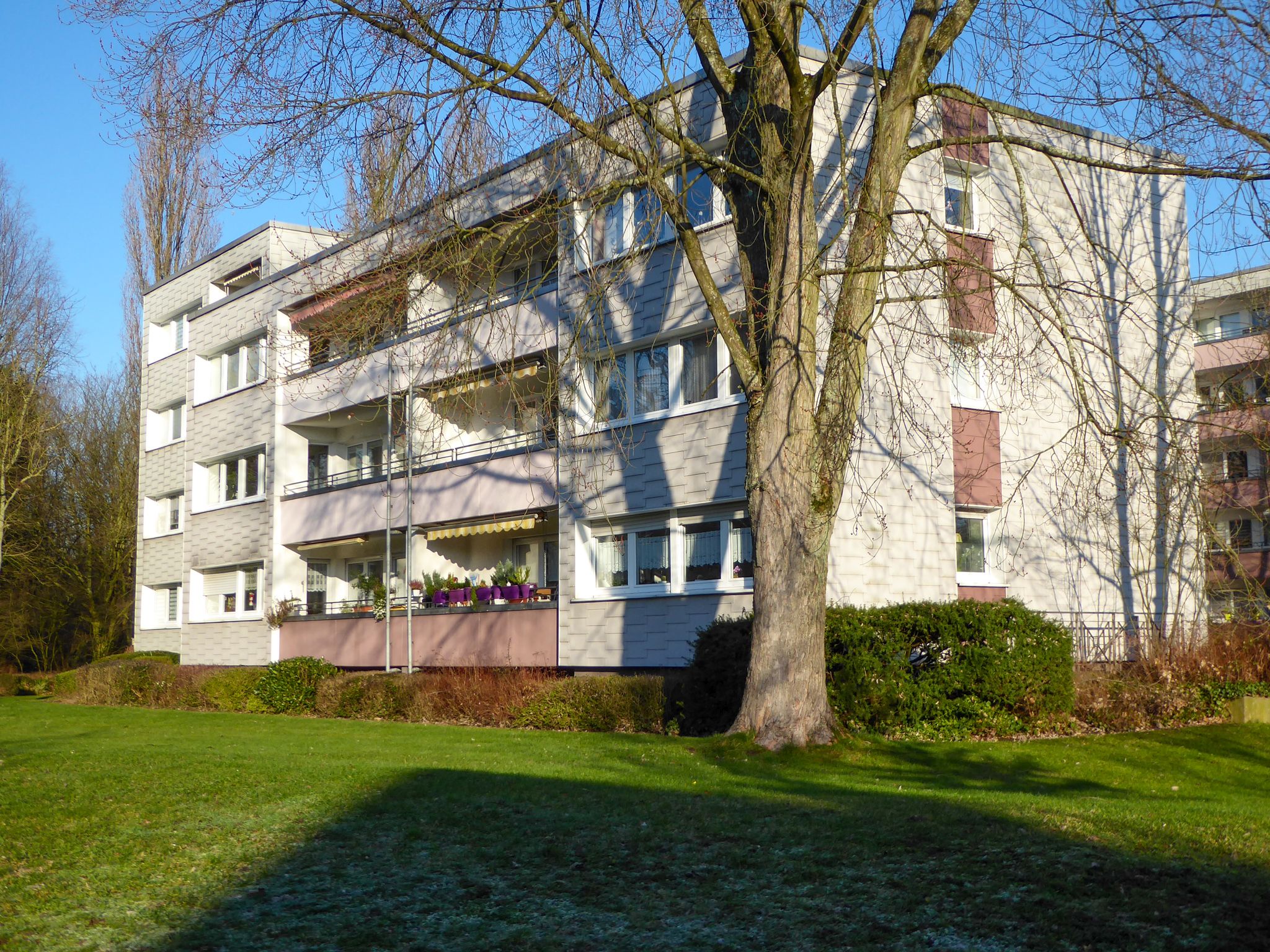 Rückansicht