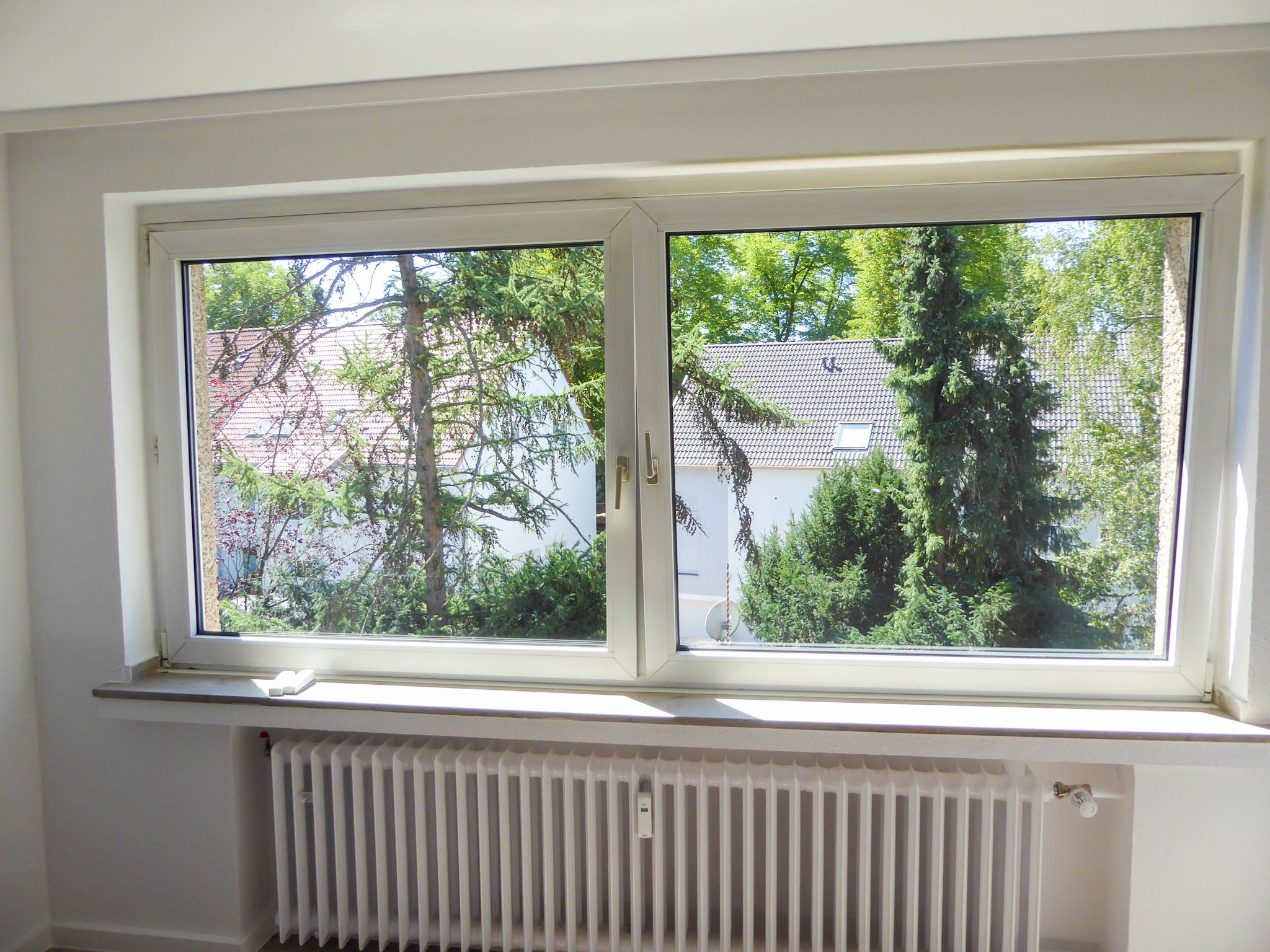 Ausblick