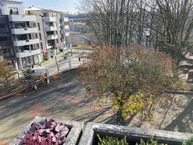Fernblick