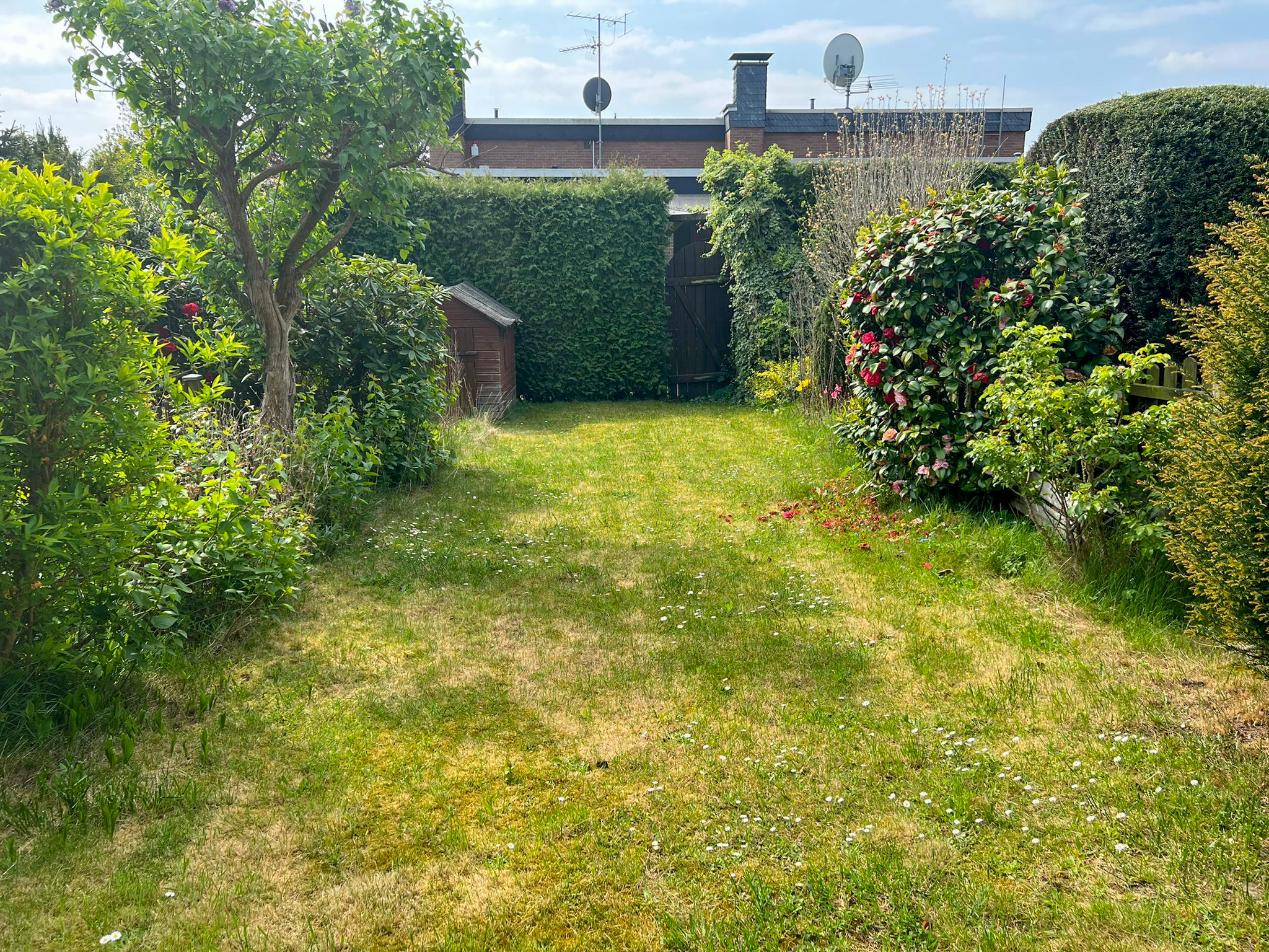 Garten 
