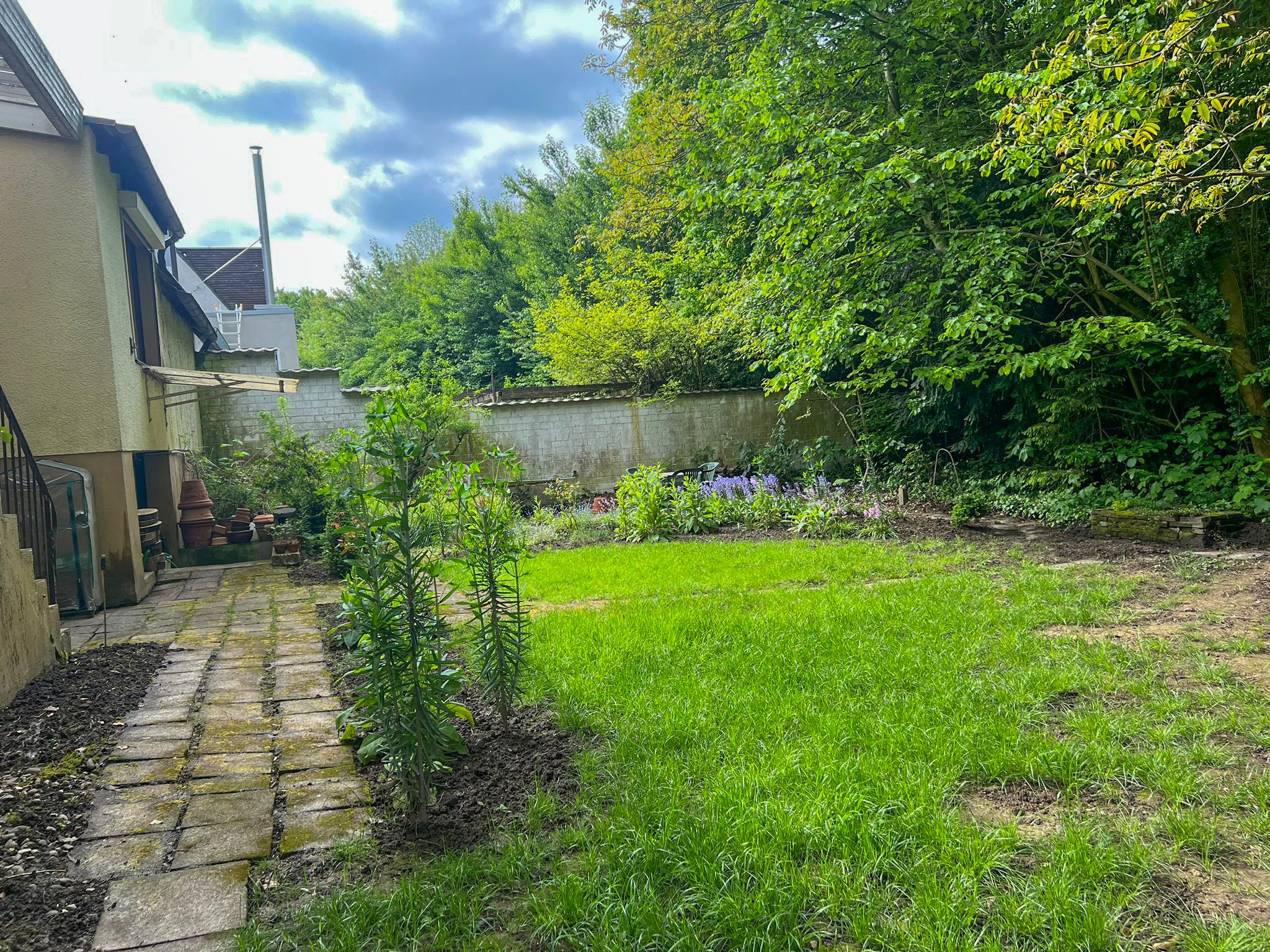 Garten 