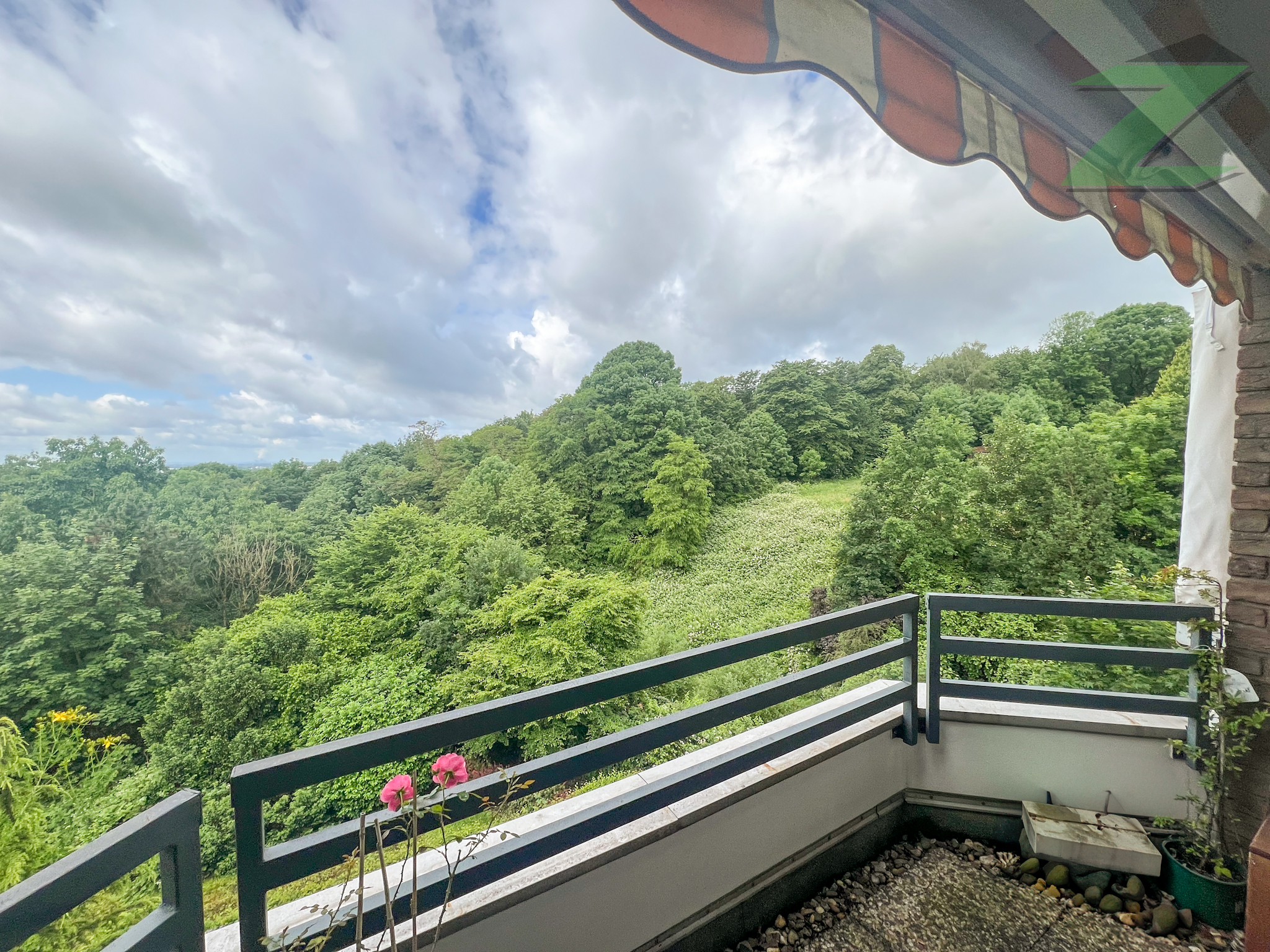 Ausblick