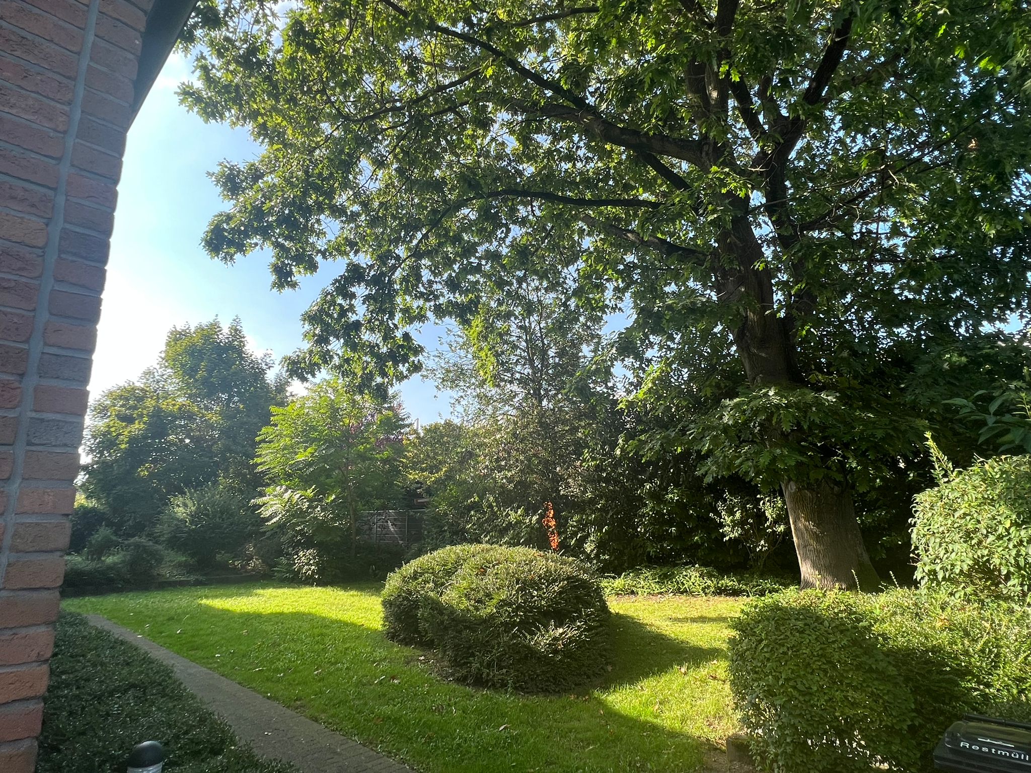 Hauptbild