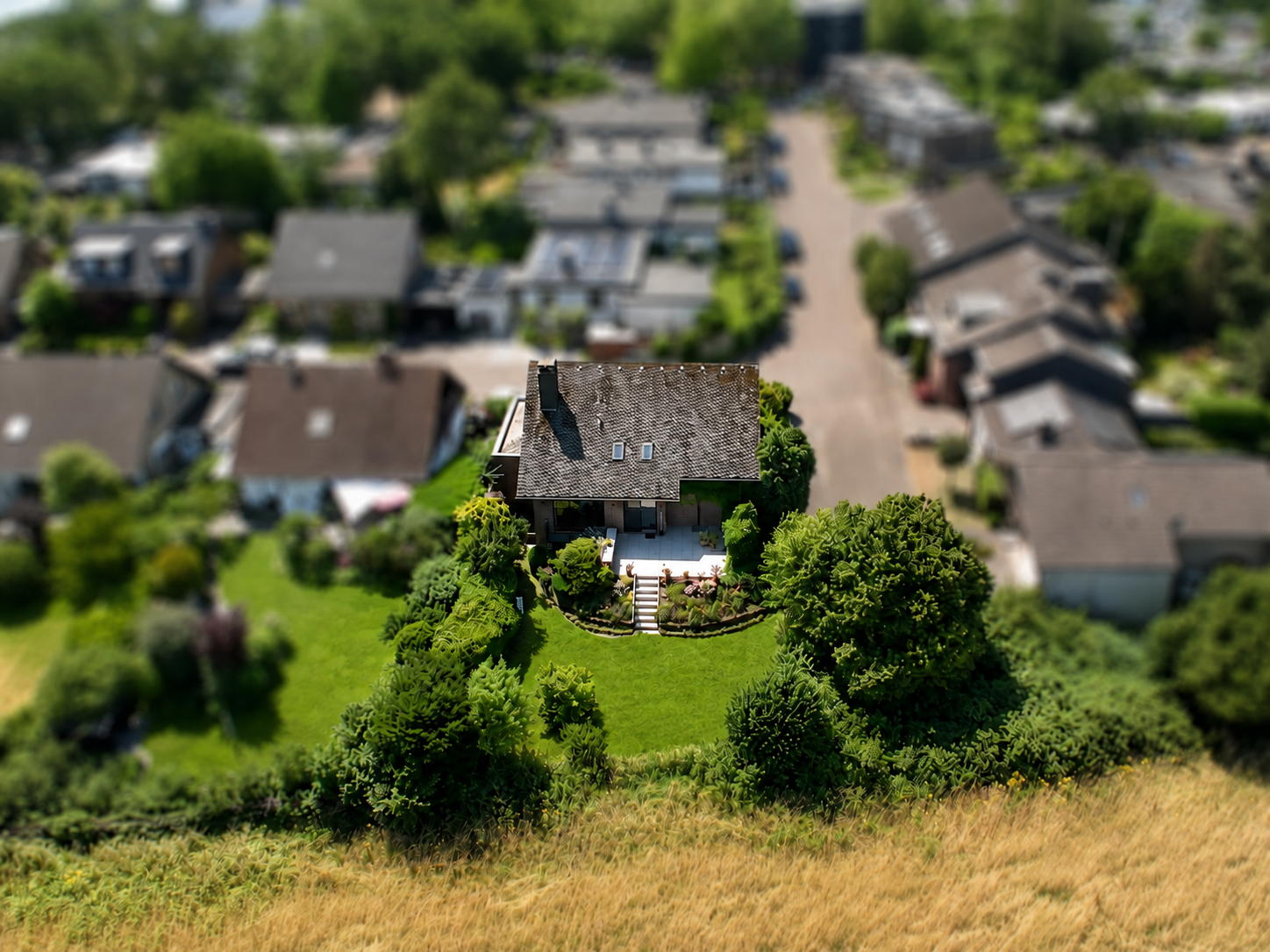Feldblick