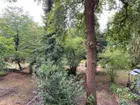 Ausblick