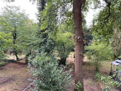Ausblick