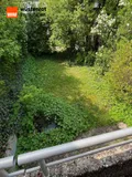Blick in den Garten