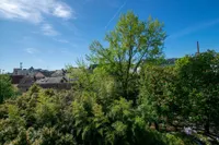Ausblick Dachterrasse Hausrückseite