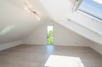 DG Studio