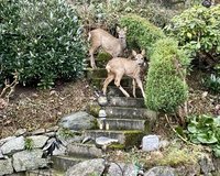 EG: Rehe auf der Terrasse 