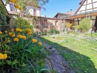 H1 Gartenansicht