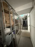 Keller