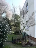 Hinteransicht