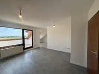 WZ