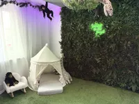KZ EG