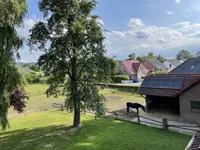 Bick vom Balkon zur Weide u. Pferdestall
