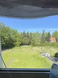 Blick in den Garten