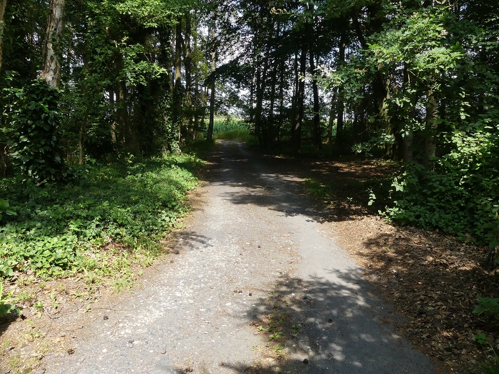 Der Weg in Ihr neues Zuhause