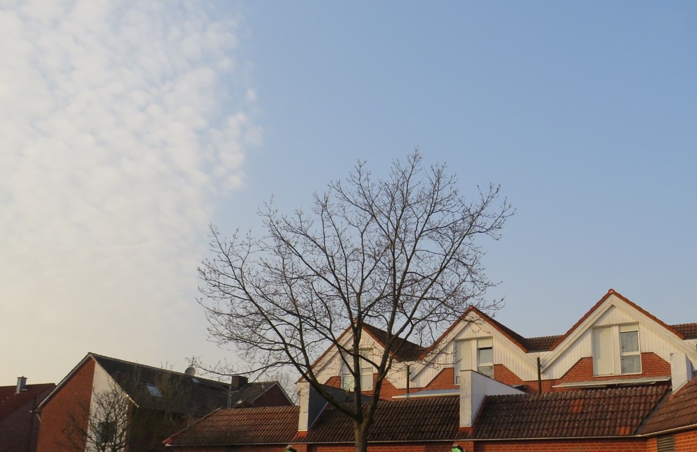 Ansicht hinten