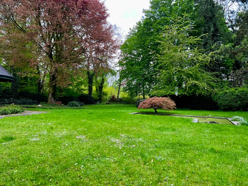 Parkgrundstück