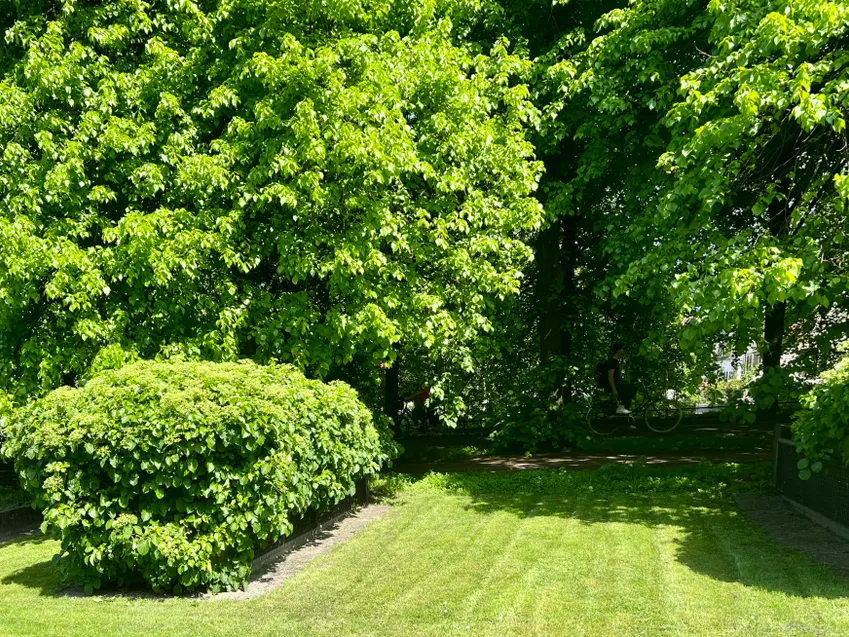 Gemeinschaftsgarten