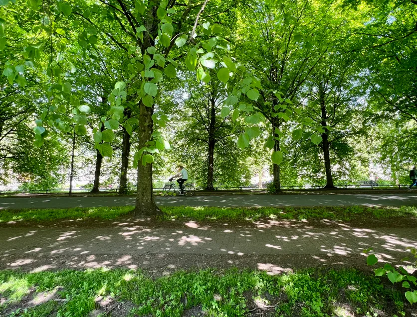 Promenade