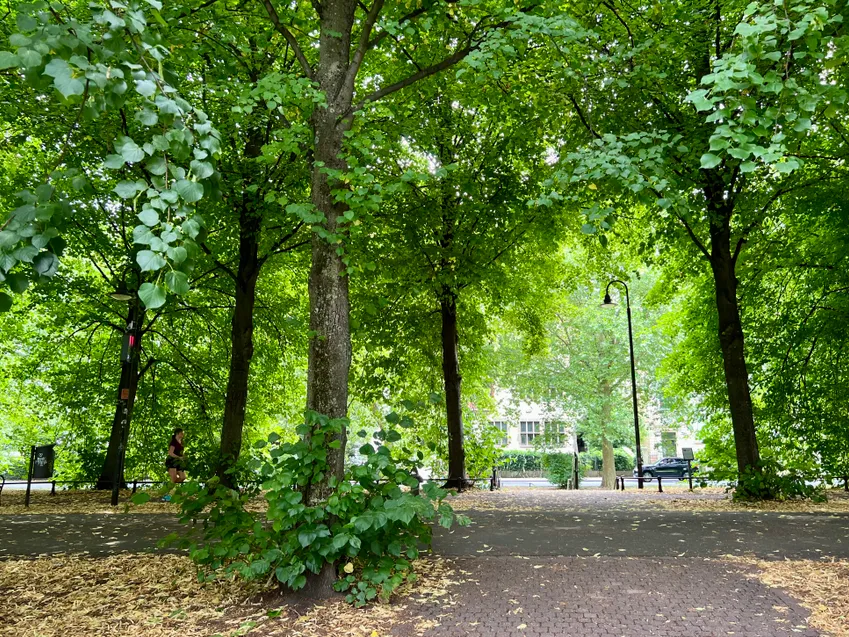 Unmittelbarer Promenadenzugang