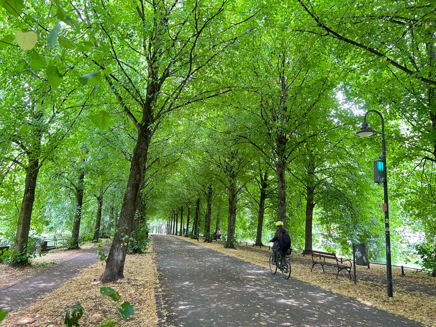 Promenade