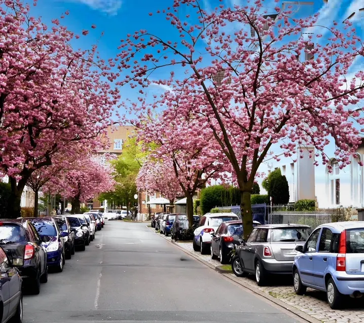 Kreuzviertel Umgebung1