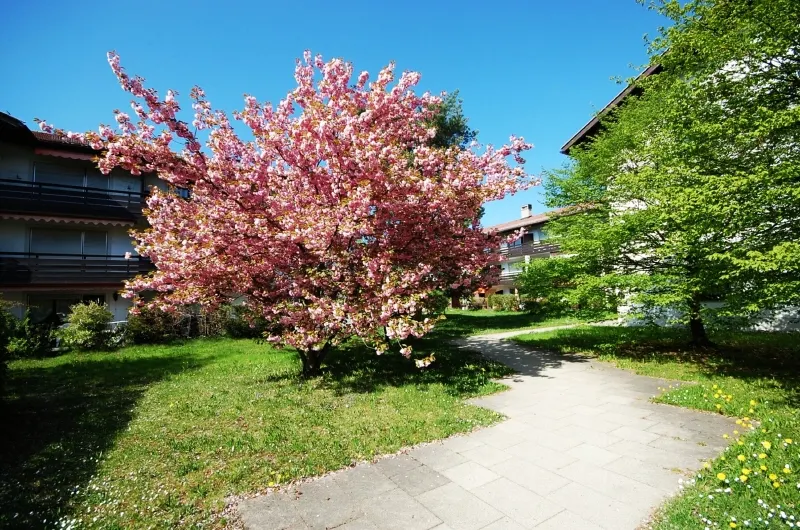 Attraktive 3-Zimmer-Wohnung in ruhiger Wohnlage von Bad T&ouml;lz